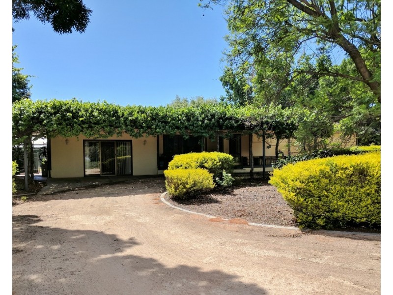 493 Chowilla Street, Renmark SA 5341