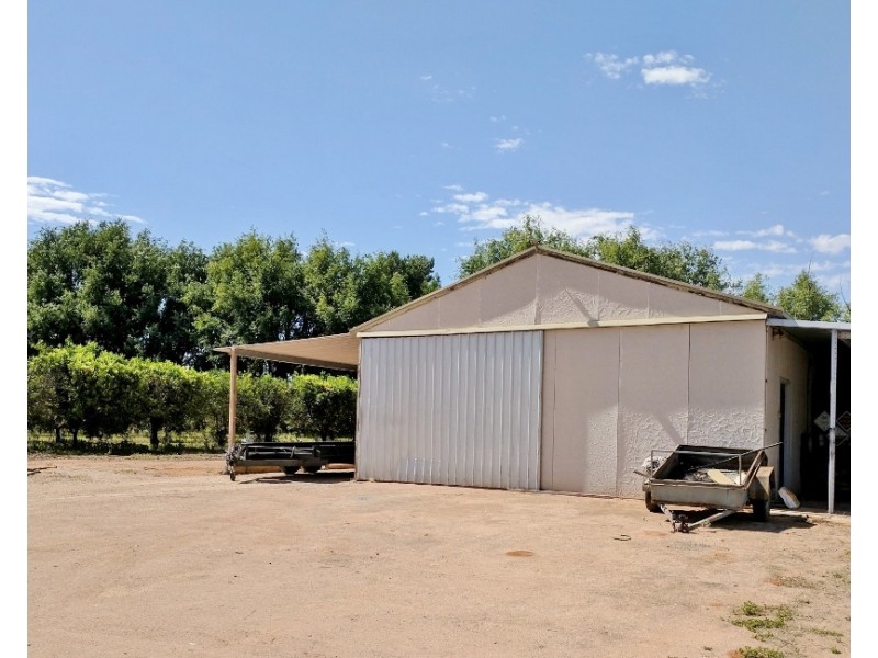 493 Chowilla Street, Renmark SA 5341