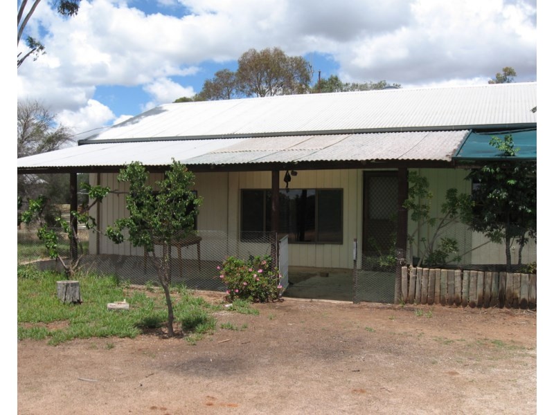 61 Tarcoola Street, Renmark SA 5341