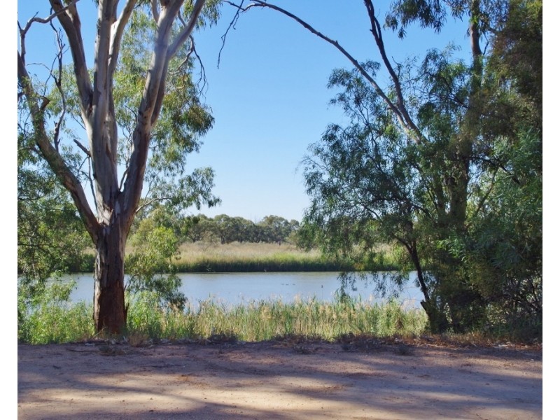 4 Sorrento Court, Renmark SA 5341