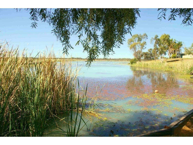 8 Anabranch Place, Renmark SA 5341