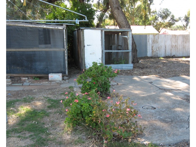 81 Murtho Street, Renmark SA 5341