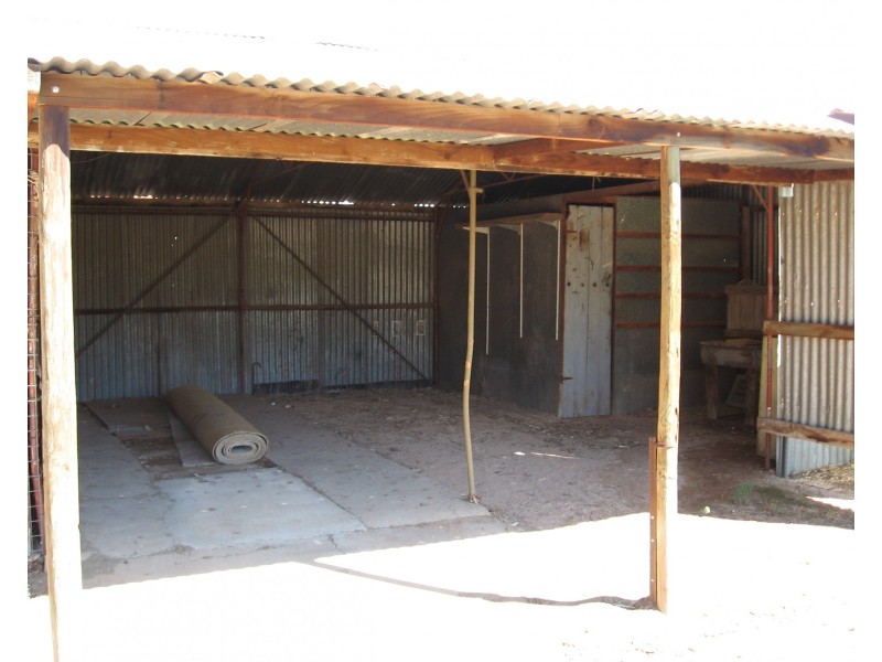 81 Murtho Street, Renmark SA 5341