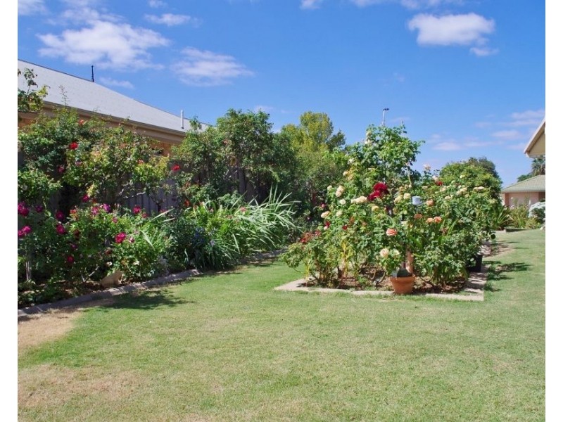 42 Korinthos Street, Renmark SA 5341