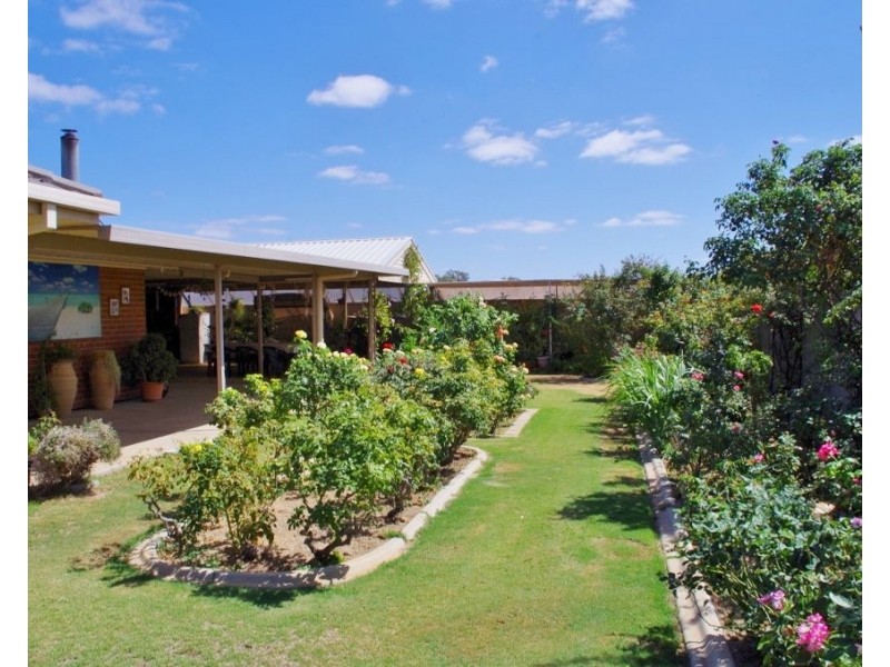 42 Korinthos Street, Renmark SA 5341