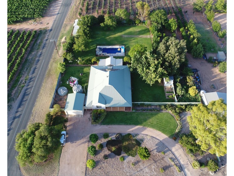 104 Rialto Street, Renmark SA 5341