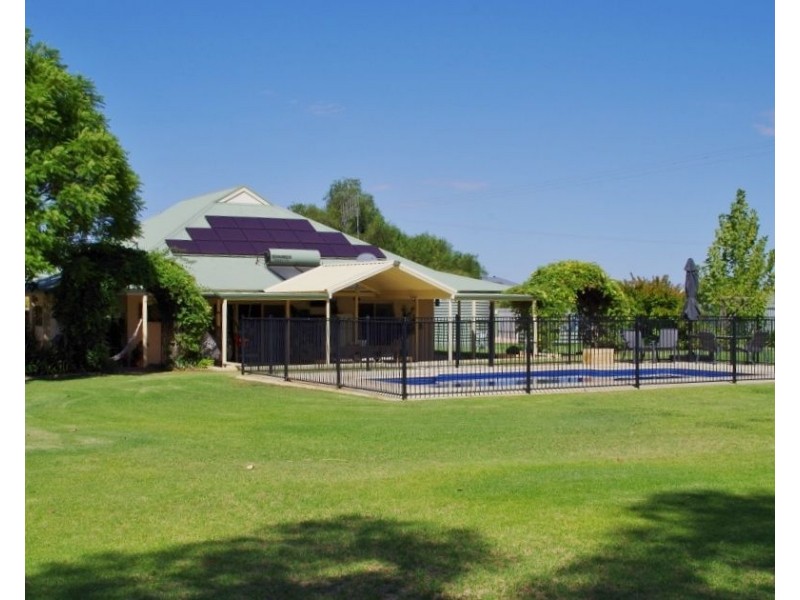 104 Rialto Street, Renmark SA 5341