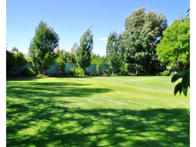 104 Rialto Street, Renmark SA 5341