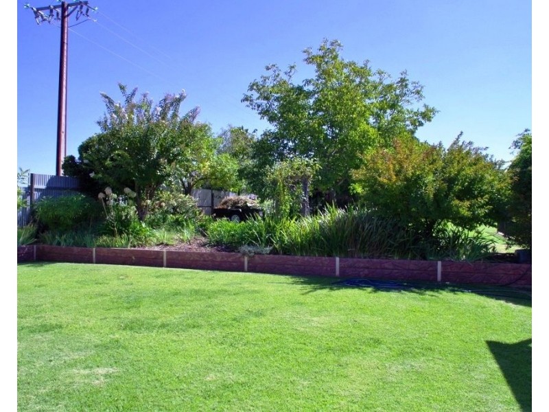 104 Rialto Street, Renmark SA 5341