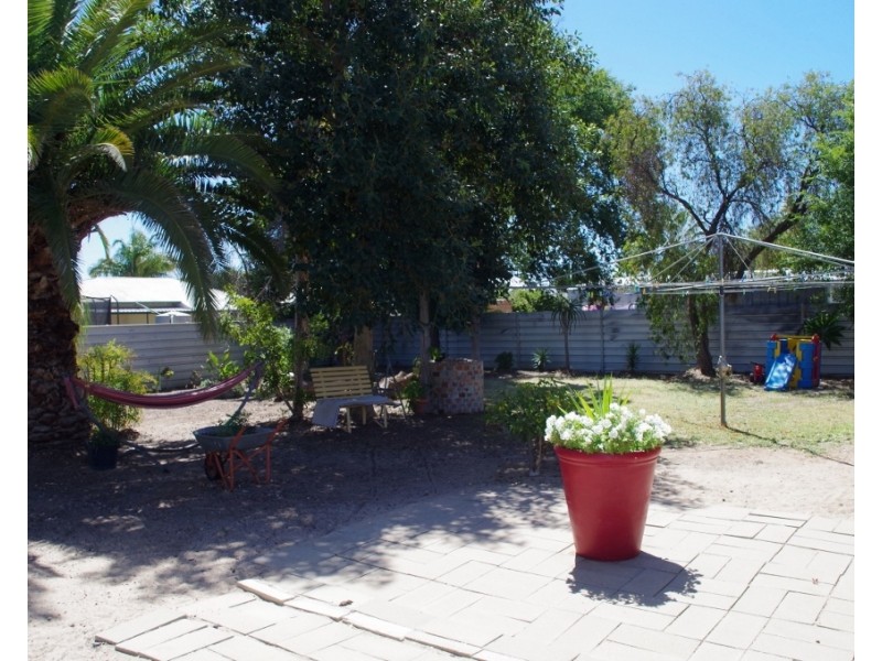 12 Hopkins Street, Renmark SA 5341