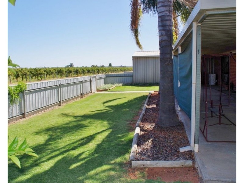 36 Wren Street, Renmark SA 5341