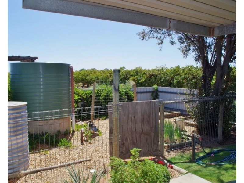 36 Wren Street, Renmark SA 5341