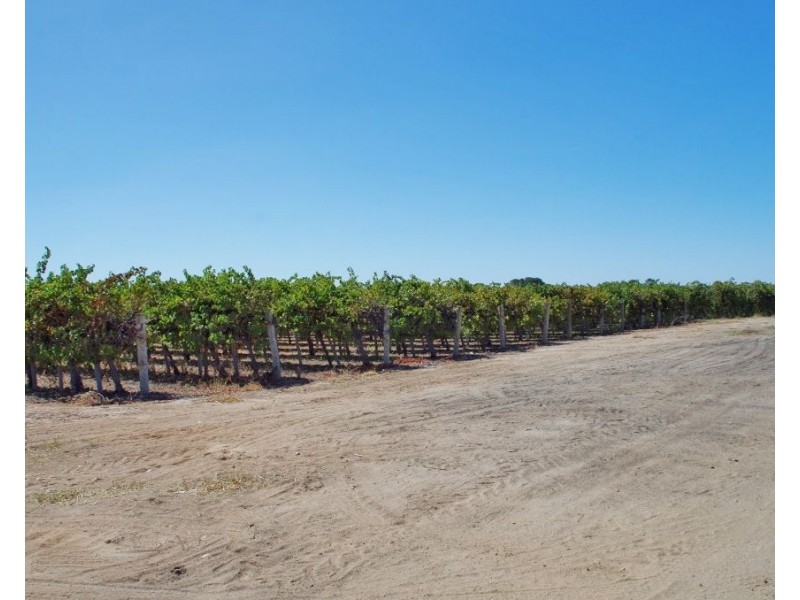 36 Wren Street, Renmark SA 5341