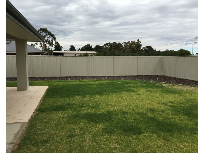 35 Barrington Street, Renmark SA 5341