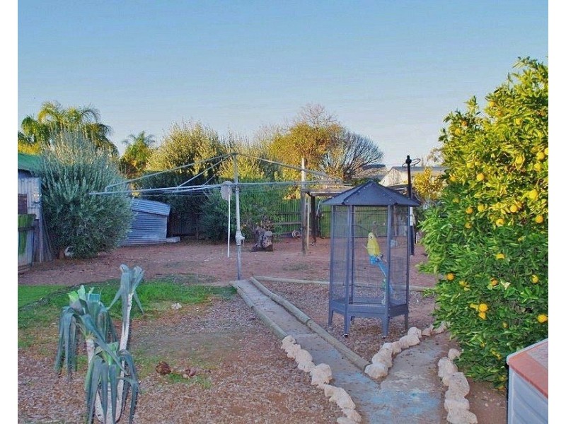 54 Eleventh Street, Renmark SA 5341