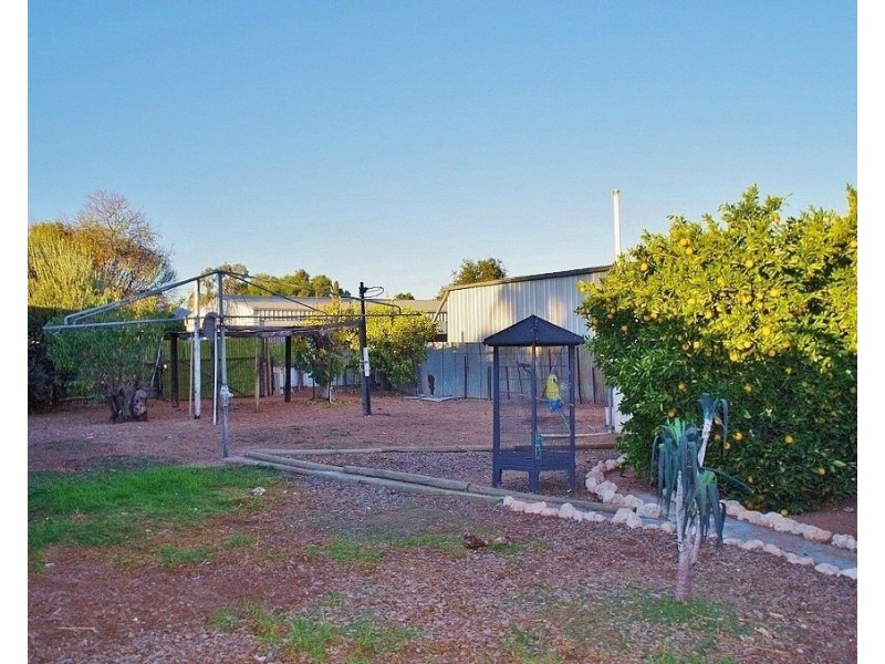 54 Eleventh Street, Renmark SA 5341