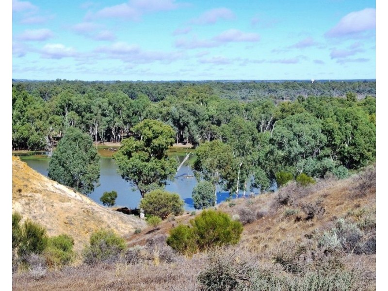 Lot 184 Murtho Road, Paringa SA 5340