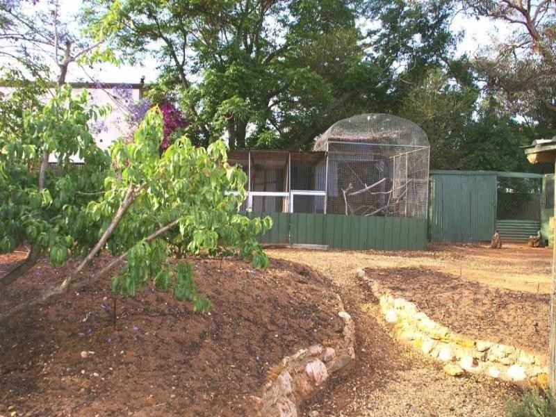 19 Stoeckel Terrace, Paringa SA 5340