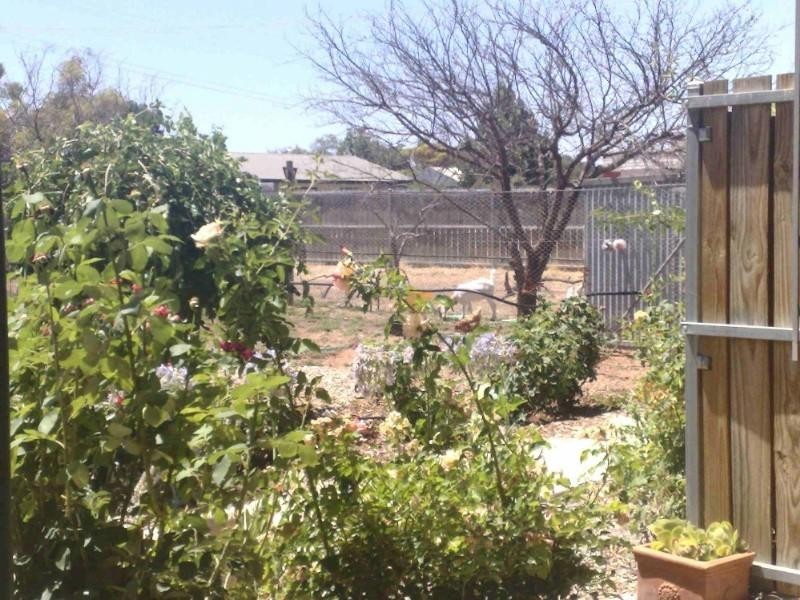 17 Twentyfirst Street, Renmark SA 5341