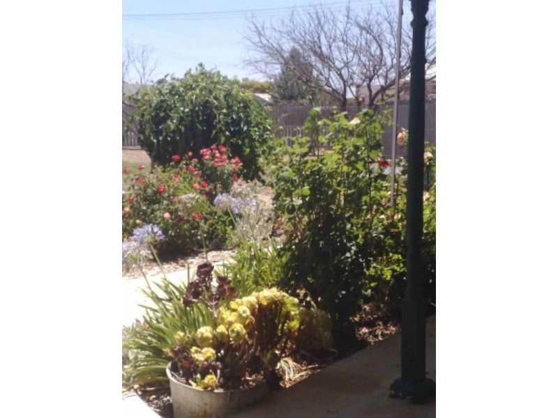 17 Twentyfirst Street, Renmark SA 5341