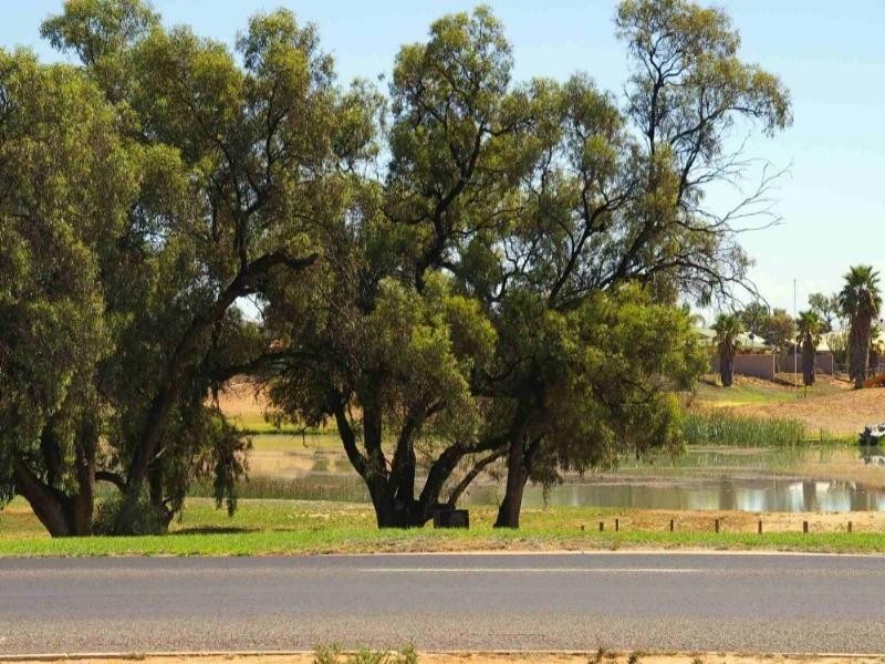 Lot/1 Orchard Drive, Renmark SA 5341