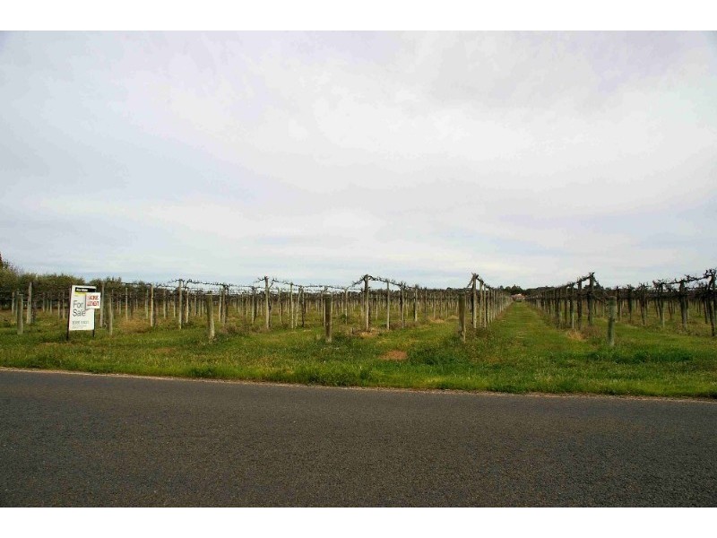 Lot 52 Arumpo Street, Renmark SA 5341