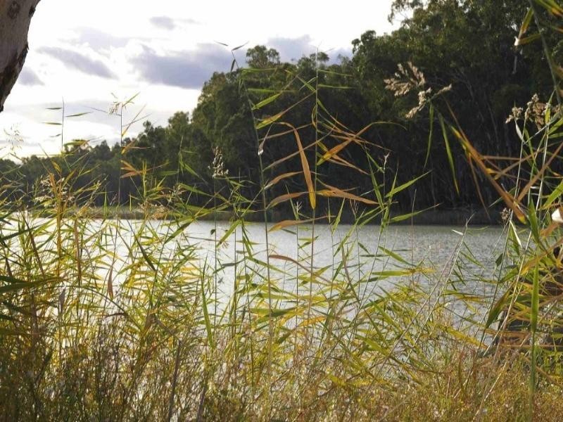 Lot/1 Murtho Road, Renmark SA 5341