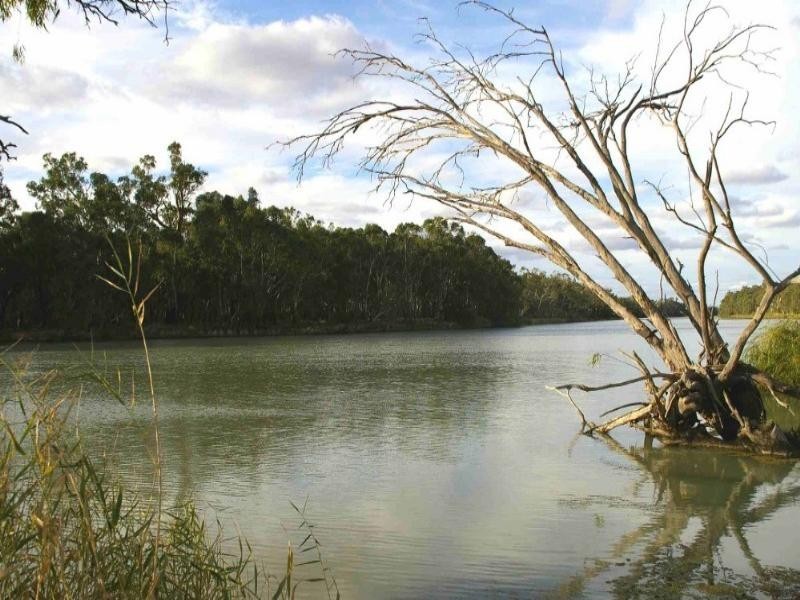 Lot/1 Murtho Road, Renmark SA 5341