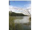 Lot/1 Murtho Road, Renmark SA 5341