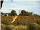 Lot/1 Murtho Road, Renmark SA 5341