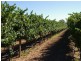 Lot/2 Twentythird Street, Renmark SA 5341