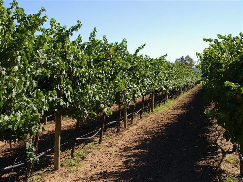 Lot/2 Twentythird Street, Renmark SA 5341