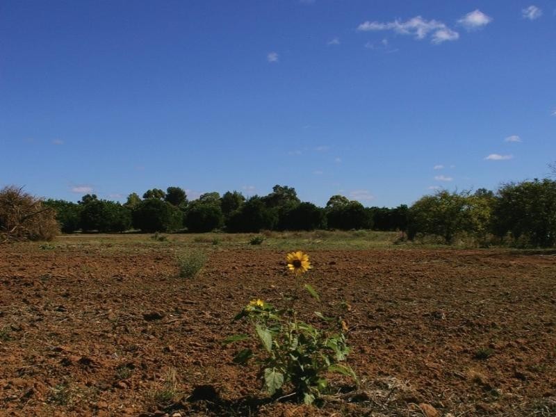 Lot/11 Pyap Street, Renmark SA 5341