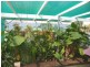 188 Sixteenth Street, Renmark SA 5341