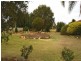 Lot/100 Ral Ral Avenue, Renmark SA 5341