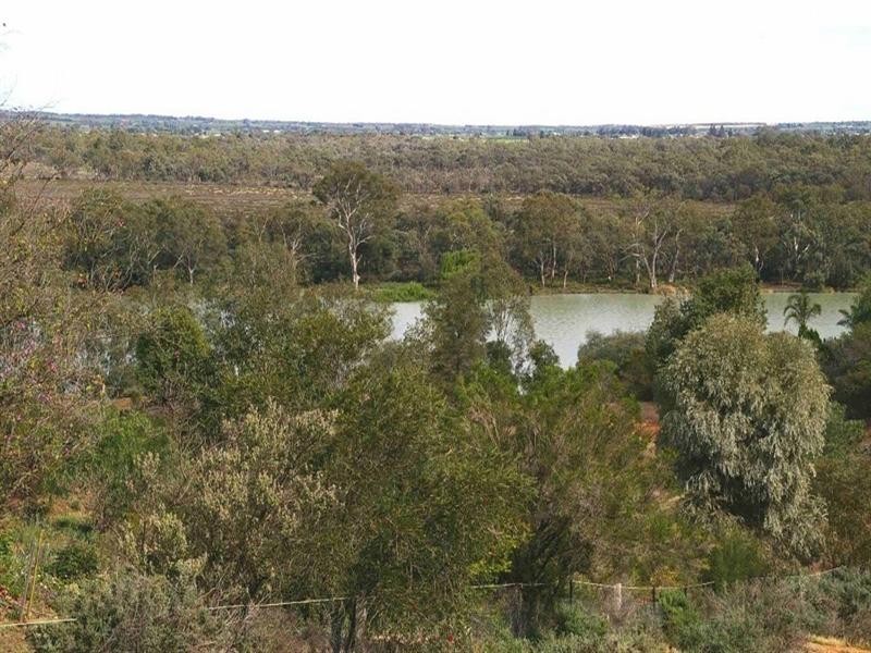 Lot/6 Murtho Road, Paringa SA 5340