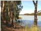 Lot/6 Murtho Road, Paringa SA 5340