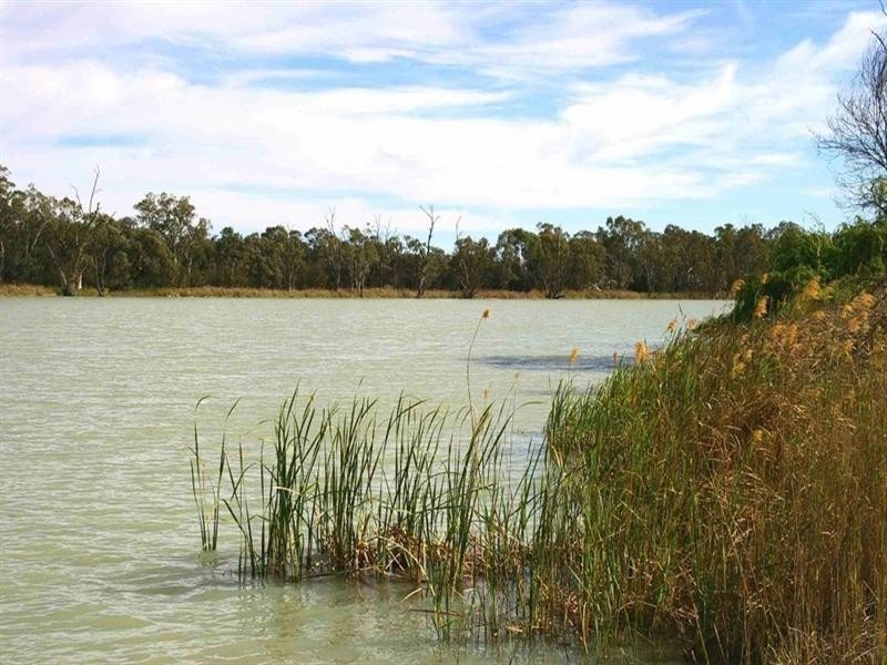 Lot/6 Murtho Road, Paringa SA 5340