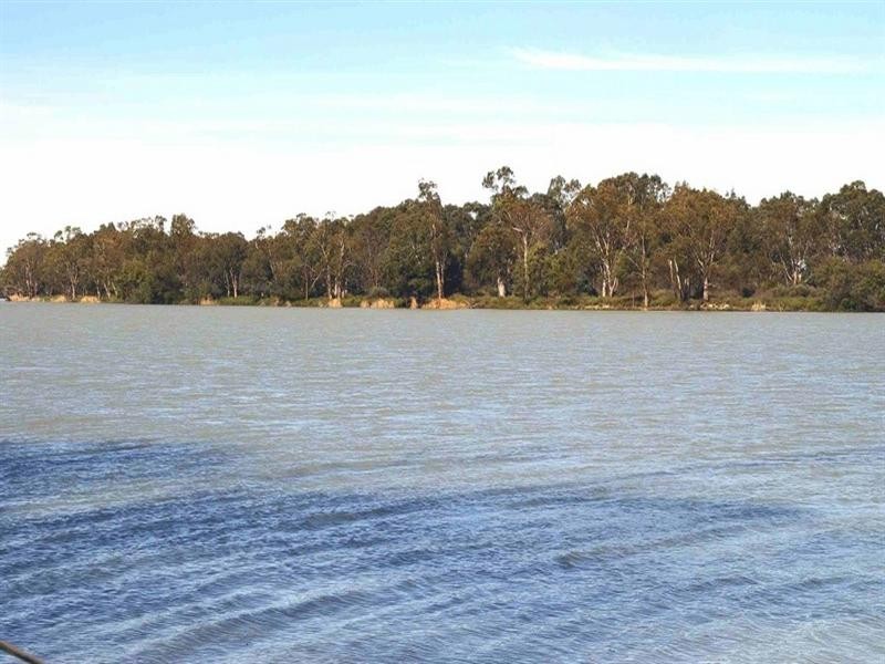 Lot/6 Murtho Road, Paringa SA 5340