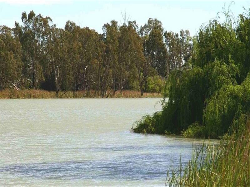 Lot/6 Murtho Road, Paringa SA 5340