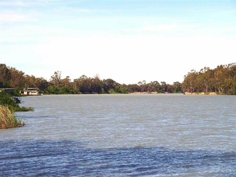 Lot/6 Murtho Road, Paringa SA 5340