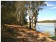 Lot/6 Murtho Road, Paringa SA 5340