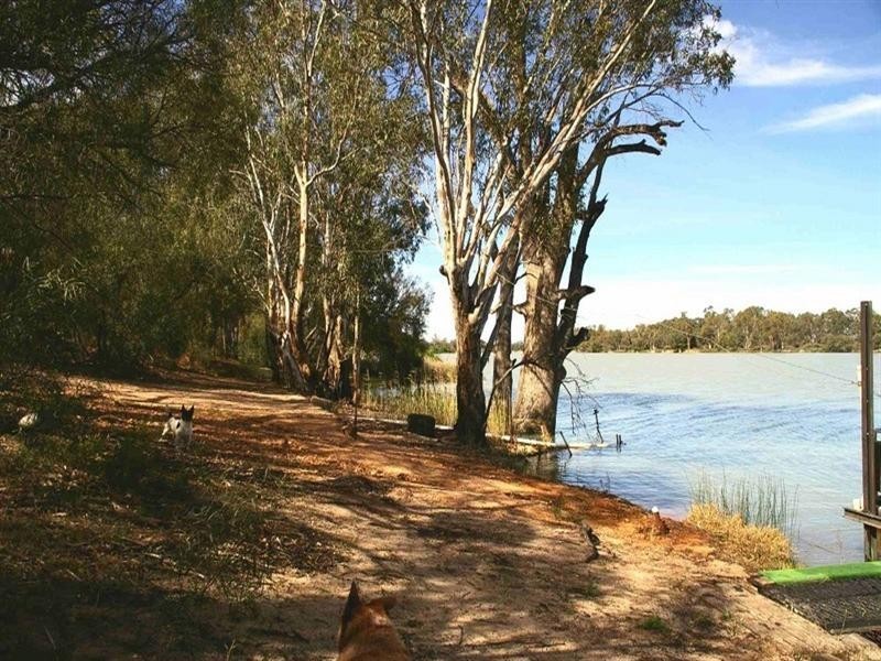 Lot/6 Murtho Road, Paringa SA 5340