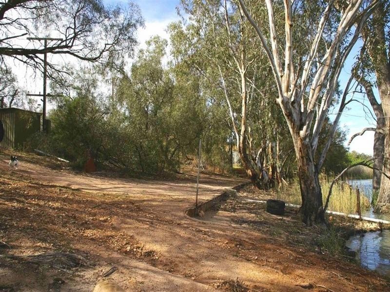 Lot/6 Murtho Road, Paringa SA 5340