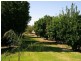 Lot/1 Renmark Avenue, Renmark SA 5341