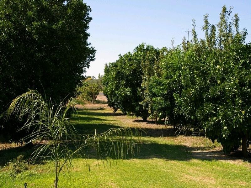 Lot/1 Renmark Avenue, Renmark SA 5341
