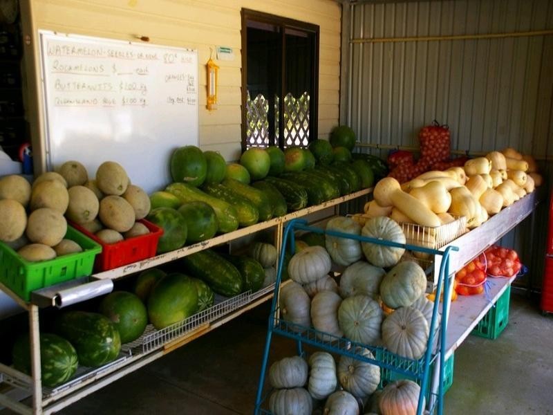 Lot/1 Renmark Avenue, Renmark SA 5341