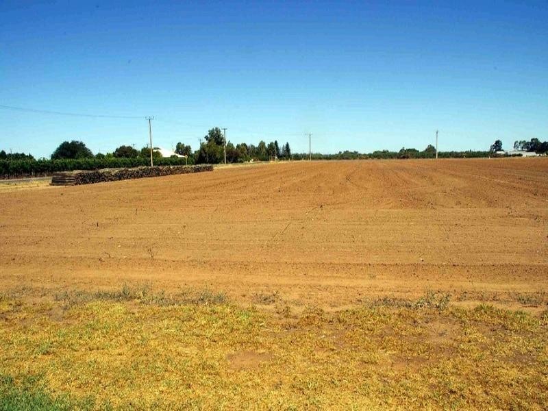 Lot/18 Seventh Street, Renmark SA 5341