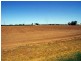 Lot/18 Seventh Street, Renmark SA 5341