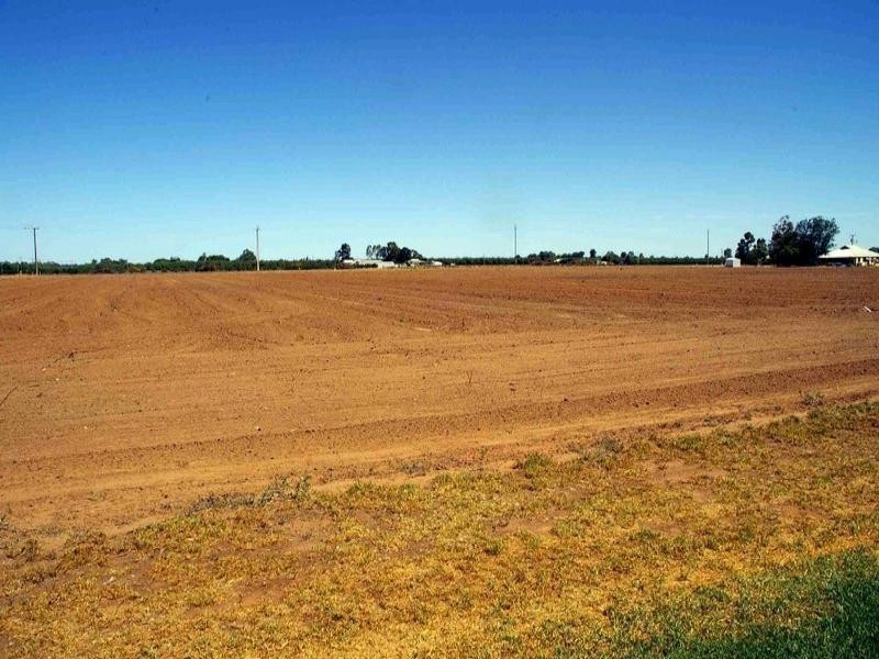 Lot/18 Seventh Street, Renmark SA 5341